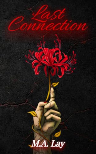 Last Connection