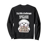 Great Pyrenees Challenge Don't look at it