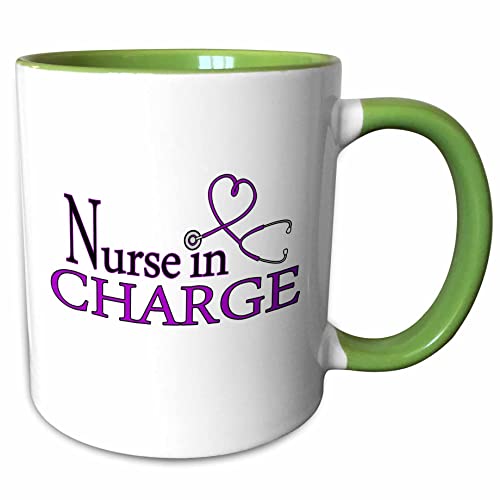 3dRose Nurse in Charge Purple Heart Stethoscope 15oz Two-Tone Green Mug
