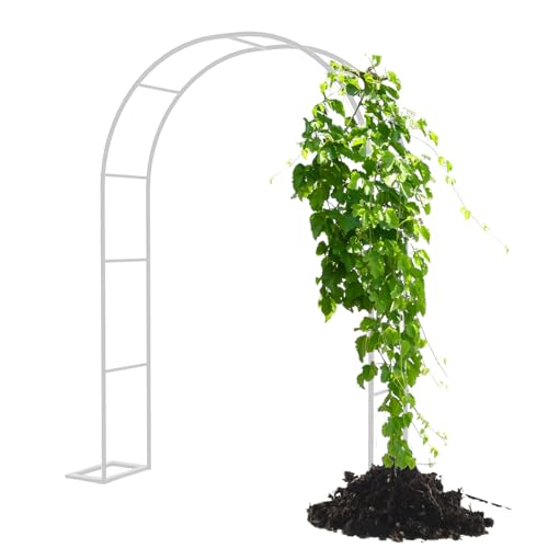 Arche de jardin en métal pour plantes grimpantes, arches de roses 80 cm-350 cm, tonnelle en fer durable pour décoration de jardin, blanc, L 240 x l 40 x H...