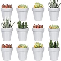 Youngever Confezione Da 24 Mini Fioriere Da 5 Cm In Plastica
