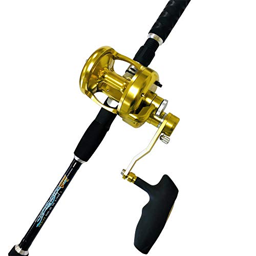 Best vertical jigging rod Best of Review Geeks