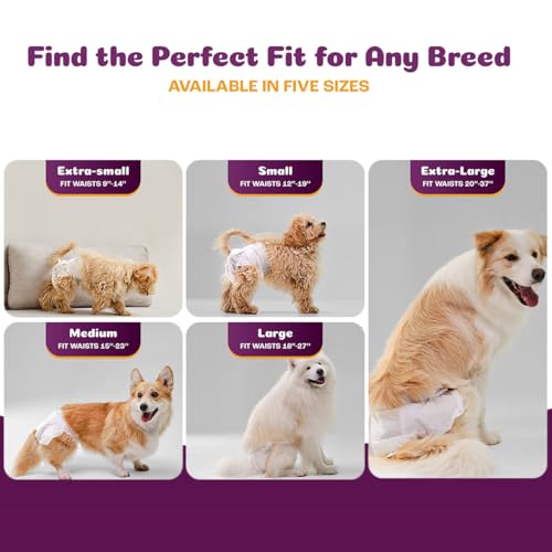 Image of Inspire Pet Care Dog Diapers Female Dogs | Bulk Value Doggie Incontinence, Accidents, for Heat, Pee or Period and Housebreaking (X-Small (50 Count))