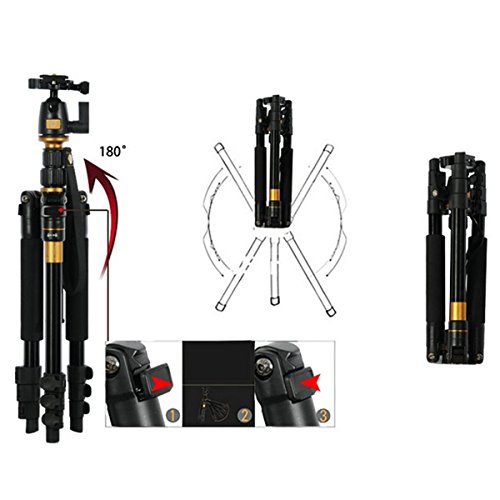 Q-555 Aluminium Alloy Camera Tripod Professional Portable Magnesium Tripod Monopod & Ball Head Slr Camera For Canon Nikon Pentax Sony #TOP2