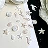 50Pcs Iridescent Seashell Nail Charms Ocean Theme 3D Resin Shell Starfish Conch Nail Gems and Charms Aurora Mermaid Nail Art Rhinestones Flat Back Nail Supplies for Beach Summer Nail DIY Manicure #5