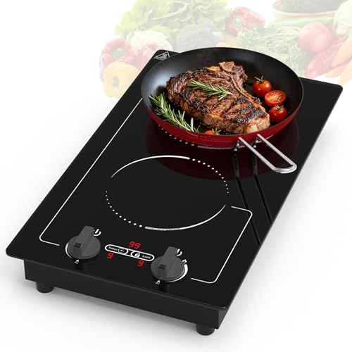 VBGK Placa Induccion 2 Fuegos, 3000W Placa Induccion Portatil con Perilla, 9 Niveles de Potencia, Temporizador de 99 Minutos, Bloqueo para Niños y Pantalla Táctil LED, Vitroceramica Portatil Integrada