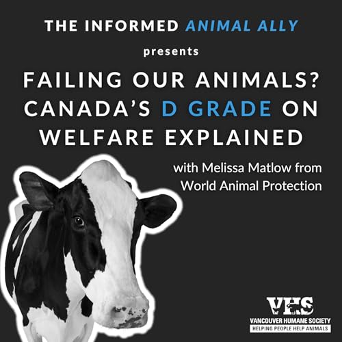Failing our animals? Canada&rsquo;s D grade on welfare explained