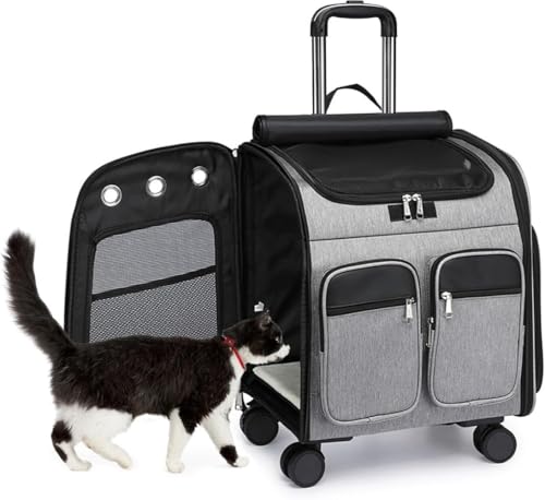 SIzlaho Lpybgg[P[X |[^u sp ^ ʋC pxr[J[ FJvZ LX^[t sAa@ʂAhЂɍœK (O[)