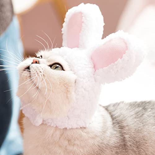 Nett Haustier Hut 3PCS Bunny Hat Cat Hasenhut für Katze Einstellbar Haustier Kopfbedeckung Hasenhasenhut mit Ohren Katze Kleine Hunde Haustierhut Niedliche Kopfschmuck Lustige Mütze Partykostüm – Bild 6