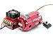 HobbyKing TrackStar ROAR approved 1/10th Stock Class Brushless ESC and Motor Combo (17.5T)