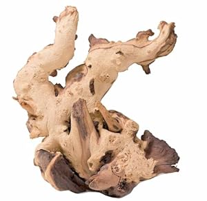 Biotopeaquatics Aquarium-Treibholz Moorholz 23–35 cm