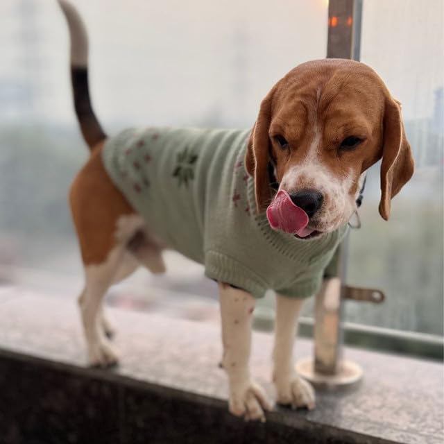 Image of Lulala Turtleneck Dog Sweater - Winter Coat Apparel Classic Cable Knit Clothes with Leash Hole for Cold Weather, Ideal Gift for Pet (Green, 8 Inch)