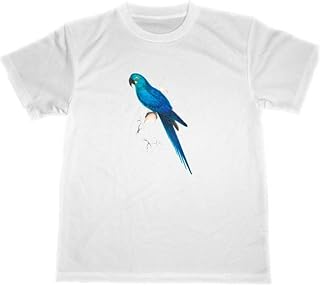 [ＴＵＧＥ９９９９] エドワード・リア ドライ Tシャツ オウム インコ 鸚鵡 鸚哥 グッズ 鳥類 小鳥 青い鳥