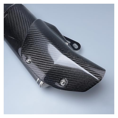 Pot d'échappement carbone Type A haute finition pour 400