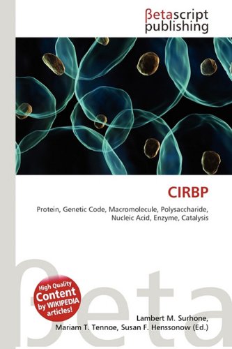 CIRBP: Protein, Genetic Code, Macromolecule, Polysaccharide, Nucleic Acid, Enzyme, Catalysis