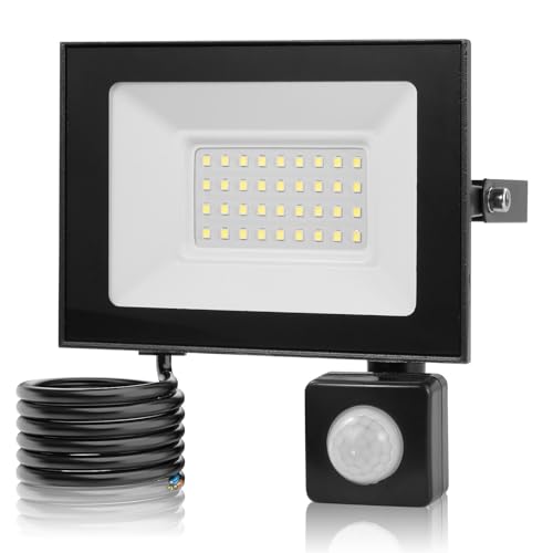 Sararoom 30W Security Lights Outdoor Motion Sensor, 3000LM 3000K Warm White PIR Sensor Security Light, IP66 Waterproof LED Flood Light Outdoor for Courtyard, Garage, Rooftop, Park, Court