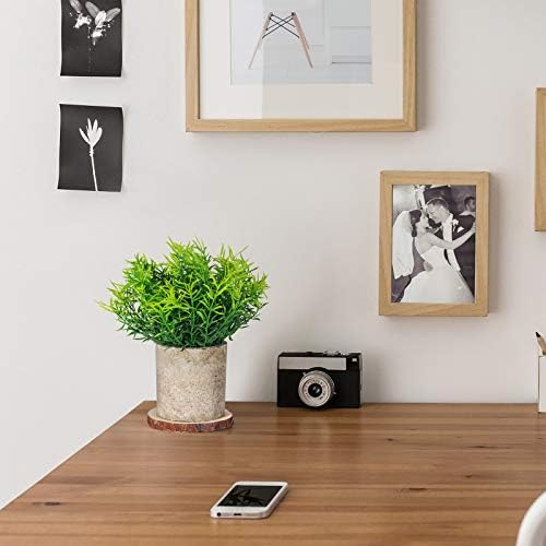 TJ.MOREE Realistic Decorative Faux Rosemary Plant, Greenery Artificial Plant with Pots and Free Wooden Slice Coaster for Indoor Shelf and Home Office Table Window Decor