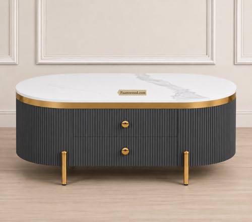 Image of Tesla Centre Table, 42x24x18 Inch, Nano Composite White Marble Top, Gold Accents, 2-Drawer Storage, Oval Design, Waterproof Plywood, PVD Legs, Modern Coffee Table for Living /Entryway