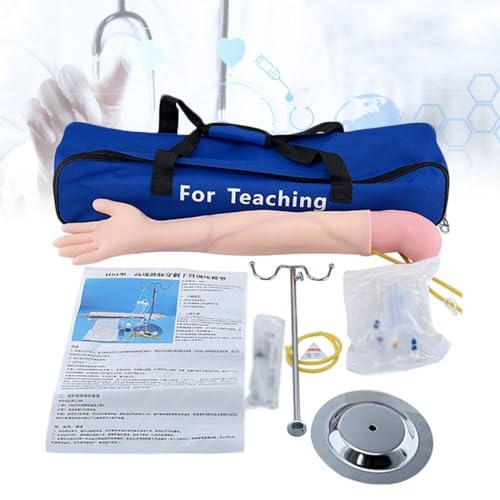 Modèle de perfusion de bras en PVC transparent pour enseignement