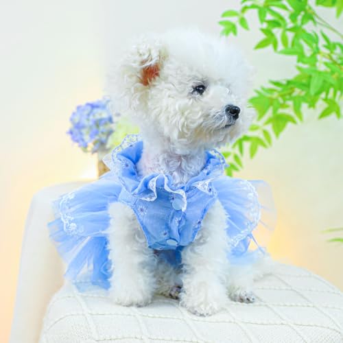 Image of HDKUW Small Dog Dress, Girl Puppy Lace Princess Skirt Tutu Dress with Bowknot,Chihuahua Yorkie Clothes Outfit for Birthday Wedding Party Blue Daisy XS