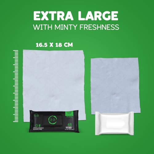 Image of Flushable Wet Wipes, 6 Pack (288 Wipes), New & Improved Spearmint Cooler, Disposable, Biodegradable, XL, Aloe & Vitamin-E, Drain and Marine Life Friendly, Utterly Smooth, Zingy, Irresistible!