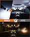 SEALIGHT 194 Led Bulb 600% Brightness 168 T10 Led License Plate Light 6500k Super Bright Replacement Bulbs For Trunk, License Plate Dome Map Door Courtesy Light (Pack Of 4)