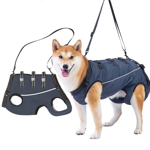 Ziyonix Harnais de Levage pour Chien, Support et Rééducation pour Animaux de Compagnie, Harnais de Rééducation pour Handicapés, Blessures Articulaires, Coupe des Griffes de Rééducation (M)