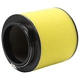 LOCOPOW 17254-HPO-A00 Air Filter for Honda Pioneer 700 Foreman 500 Rubicon 500 Rincon 680 Big Red