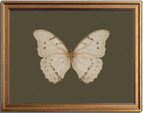 KBKBART Vintage White Butterfly Wall Art, Framed Wall Art Insect Pictures Wall Decor Aesthetic, Dark Moody Cottagecore Room Decor, Sage Green Bathroom Canvas Painting, Desk Shelf Decor, Canvas Wall Art Prints for Bedroom, Living Room(8