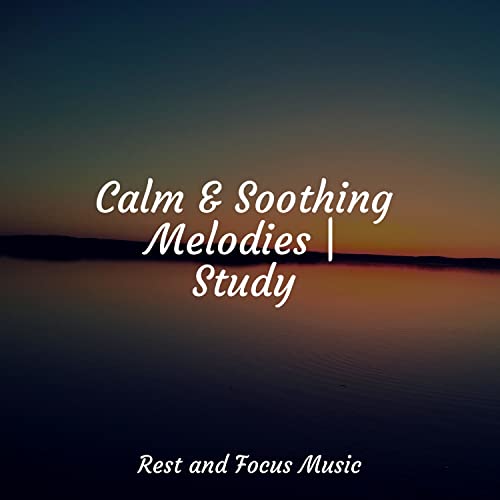 How Do Vanatera CBD Gummies Work?