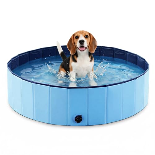 BECROWM Foldable Dog Pool for Small & Medium Dogs – Portable Pet Pool for Outdoor, Backyard, Travel, Beach, Cooling & Bathing, Easy to Store & Clean (Blue, Small-32' x 8')