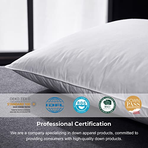 Alanzimo Luxury Hotel Collection Goose Feather Pillows For Sleeping Bed Pillows,100% Natural Cotton Cover Feather Proof,Bed Pillow Standard Size Set Of 4 For Side Stomach Sleepers 20X28 #TOP1
