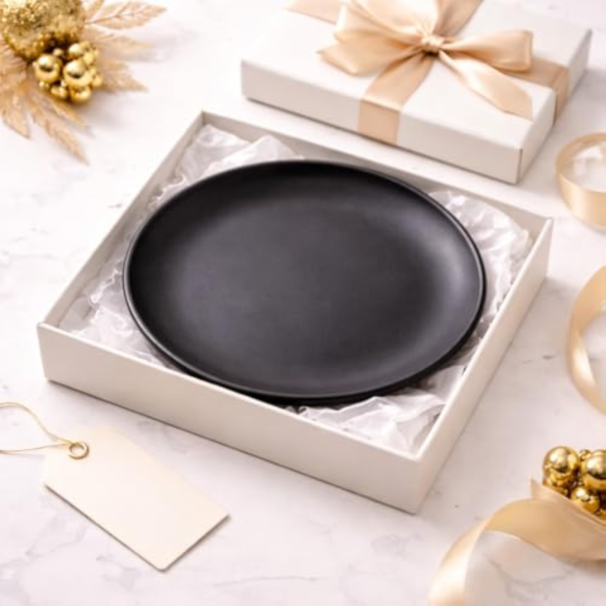 Ceramic Dinner Plates Set of 2, Matt Black