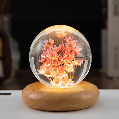 Image of Pletmin Birthday Gifts for Women, Daisy Crystal Ball Night Light, 2.76 inch Glass Ball Lamp with Wooden Base, Perfect Daisy Décor & Daisy Gifts for Mom(Red Daisy)