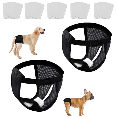 Pañales Perros Hembra Marca Générique