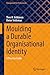 Moulding a Durable Organisational Identity: A Practice Guide (Management for Professionals)