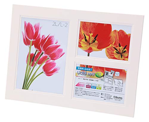 Chikuma フォトフレーム Uclidマットツートン 多面 2L1面/L判2面 クリーム+クリーム 15539-3