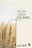 bibel neues testament briefe  Neues Leben. Die Bibel - große Schrift