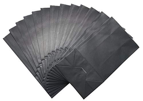 Artseen Party Favor Paper Bags for Party Celebration Treated Paper Bags (24 CT) (Black)