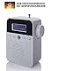 NEWTRO DAB STECKDOSENRADIO MIT BEWEGUNGSMELDER INKL. AKKU, portabler Radio, ideales Badradio mit automatischer EIN- und Abschaltung, Weckfunktion, USB-Ladebuchse, DAB+ Digitalradio