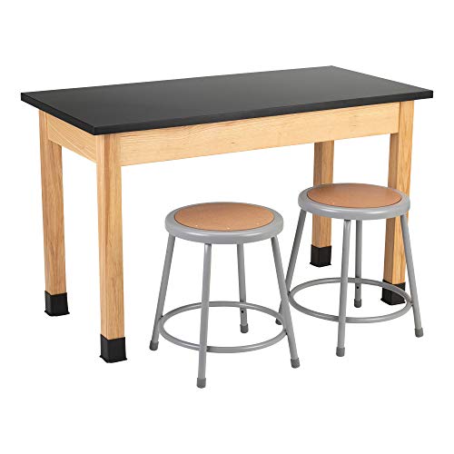 Science Lab Table w/Chemical Resistant Top (24\" W x 48\" L)