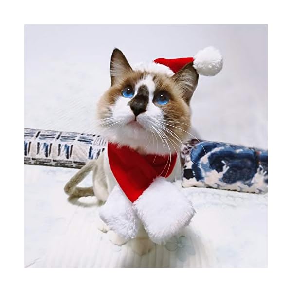 Fast and good cat santa christmas hat + muffler + elk antler reindeer hat + mini xmas card with slider storage bag, head wear accesories christmas costume outfits for pet dog cat rabbit(pack of 4 pcs) - image 4