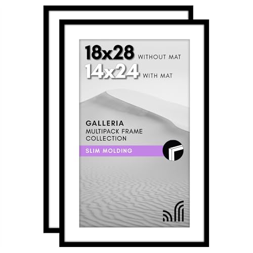 Americanflat 18x28 Poster Frame 2-Pack - Matted to 14x24 - Black