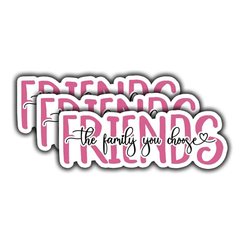 (3 pcs) Friends The Family You Choose Sticker for Tumbler Motivational Funny Sarcastic Phrase...