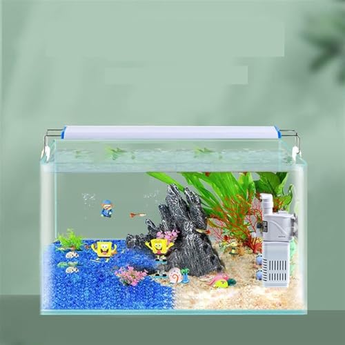 Aquarium de bureau en verre transparent pour tortue