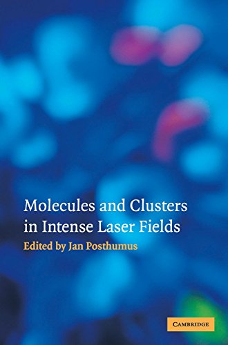 Molecules and Clusters in Intense Laser Fields view 2