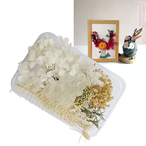 Bouquet de Flores Secas Tyenaza para Decoración miniatura 5