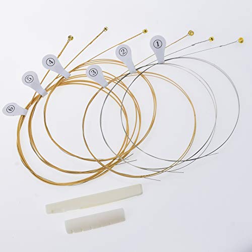 JIEYI Strings Phosphor Bronze Acoustic Guitar Strings Light (.010-.047) With Guitar Bone Sallde and Nut