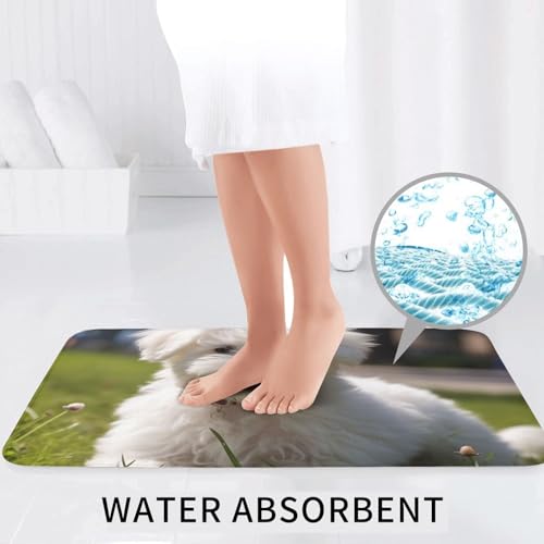 Tapis de bain lavable microfibre absorbante Bichon on the Grass ensemble WC 3 pcs - 7