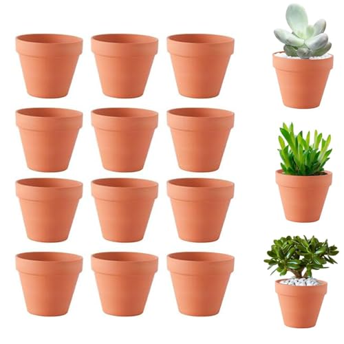 Molyorch 12 Piezas Maceteros de Terracota